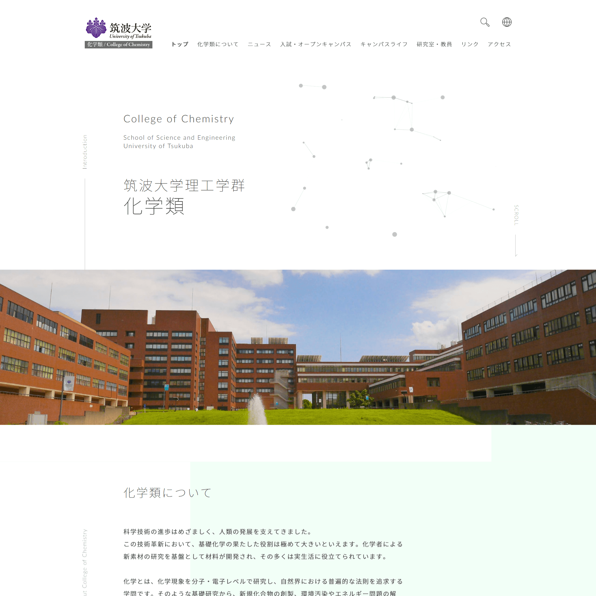 コーディングベアの事例5